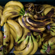 Pile of supermarket bananas